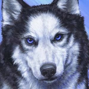 Meet your Posher, Caleb